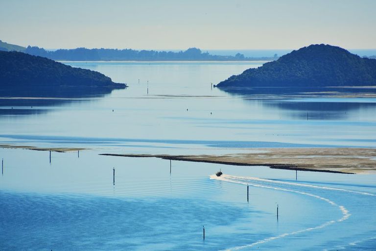 Photo of property in 35 Coolock Crescent, Waverley, Dunedin, 9013