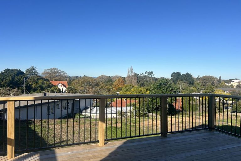 Photo of property in 111 Pembroke Street, Hamilton Lake, Hamilton, 3204