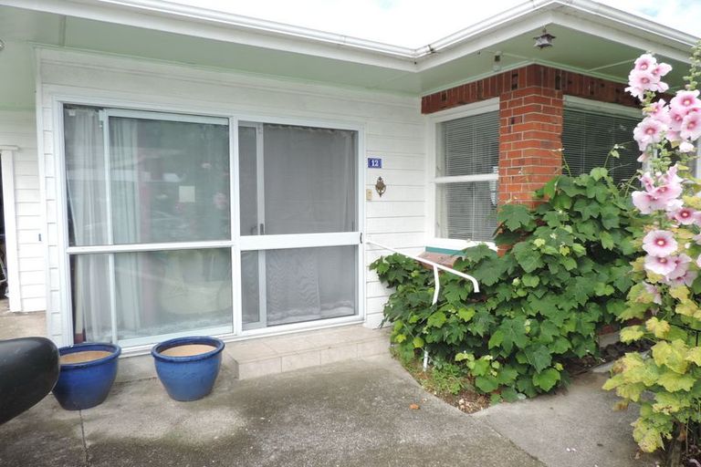 Photo of property in 12 Rata Street, Matamata, 3400