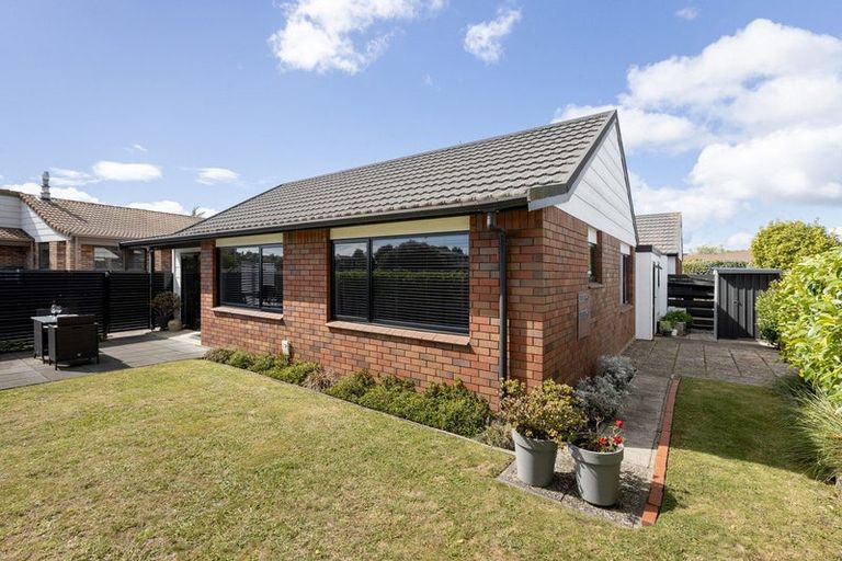 Photo of property in 71a Ascot Road, Mount Maunganui, 3116