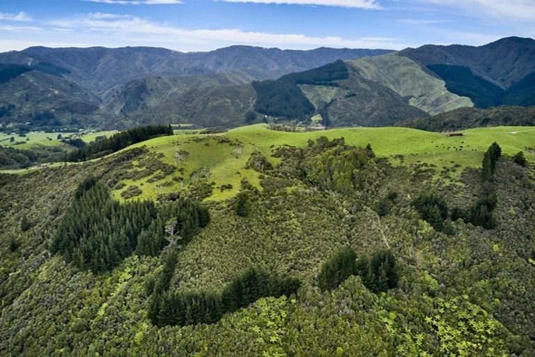 Photo of property in 12 Jane Mander Rise, Blue Mountains, 5371