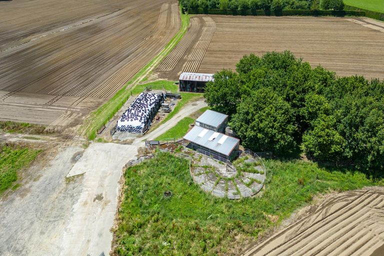 Photo of property in 314 Campbell Road, Richmond Downs, Walton, 3475