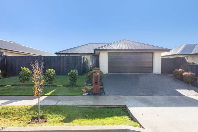 Photo of property in 12 Waimarie Street, Pegasus, 7612