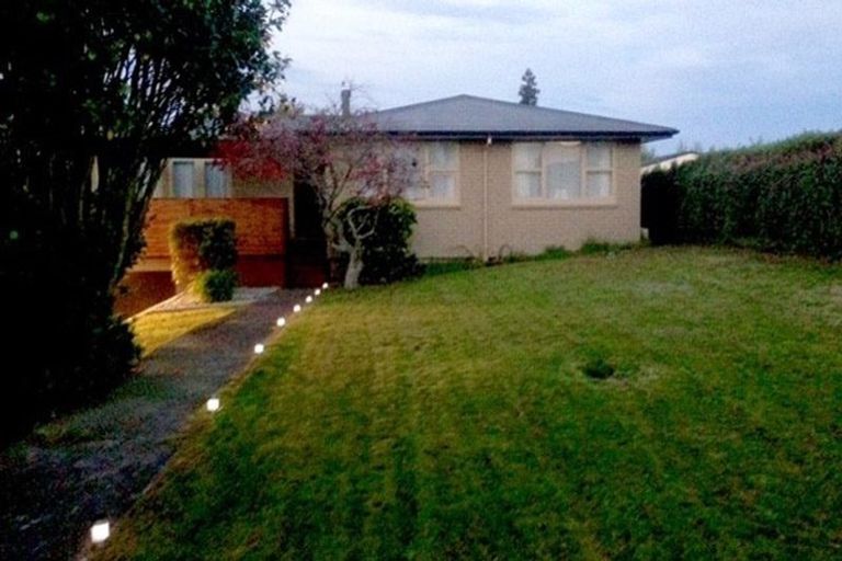 Photo of property in 151 Elizabeth Drive, Tokoroa, 3420