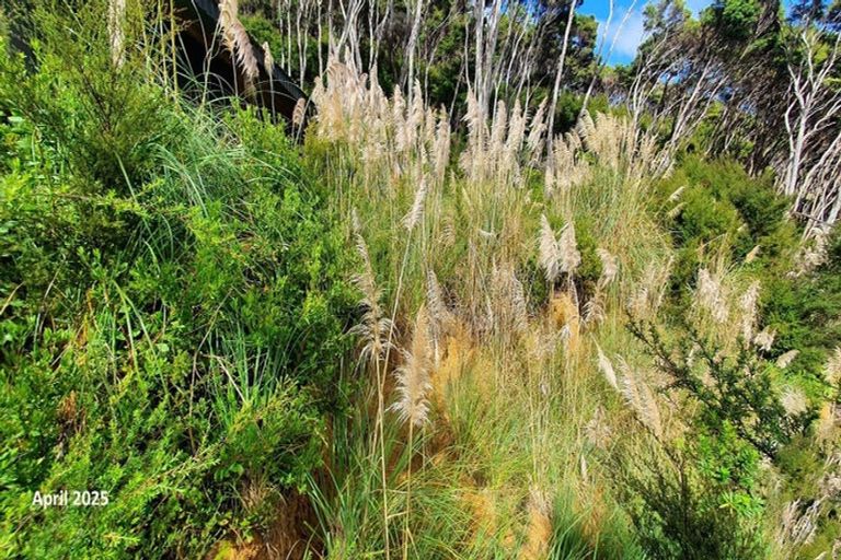 Photo of property in 165 Bon Accord Harbour, Kawau Island, 0920