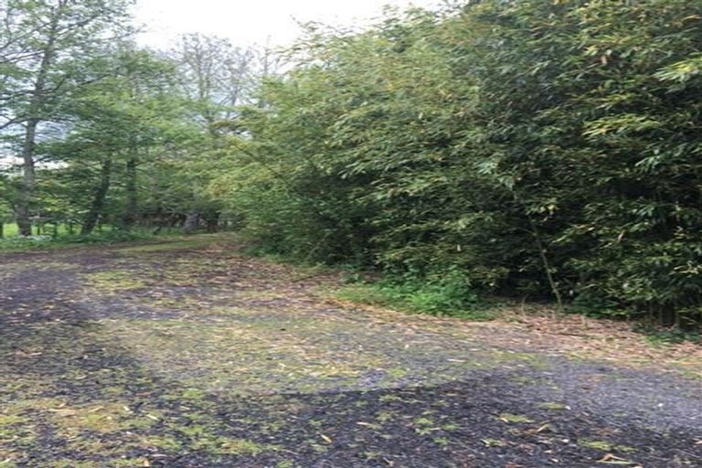 Photo of property in 198b Buckville Road, Buckland, Pukekohe, 2677