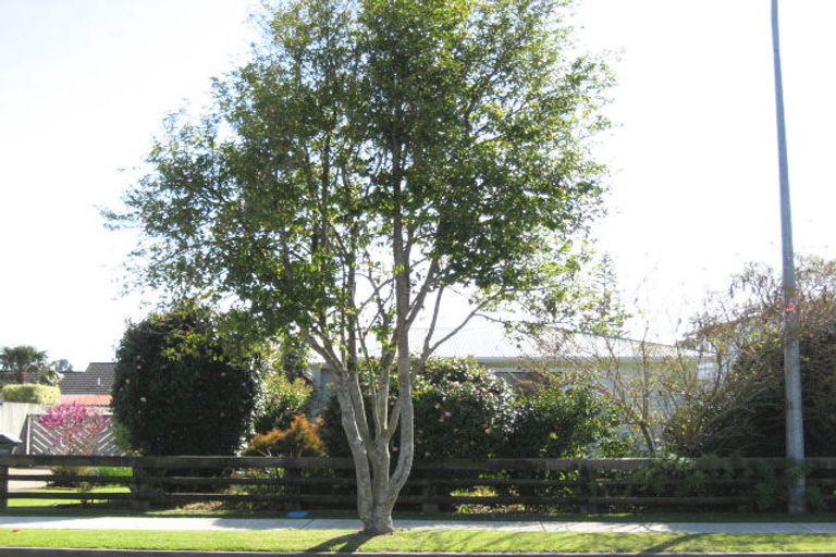 Photo of property in 60 Peace Street, Whakatane, 3120