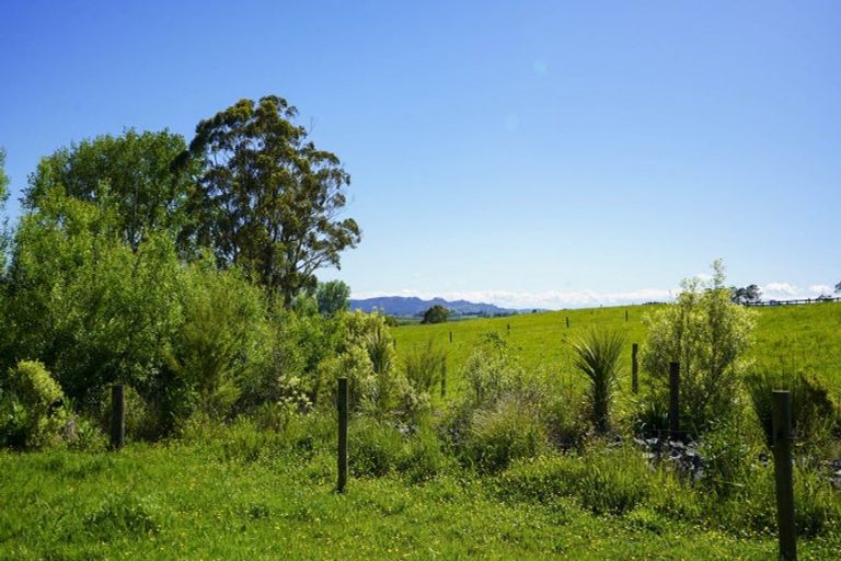 Photo of property in 46 Moorfield Road, Te Kauwhata, 3782