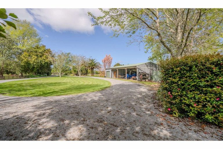 Photo of property in 299 Waipapa Road, Waipapa, 0230