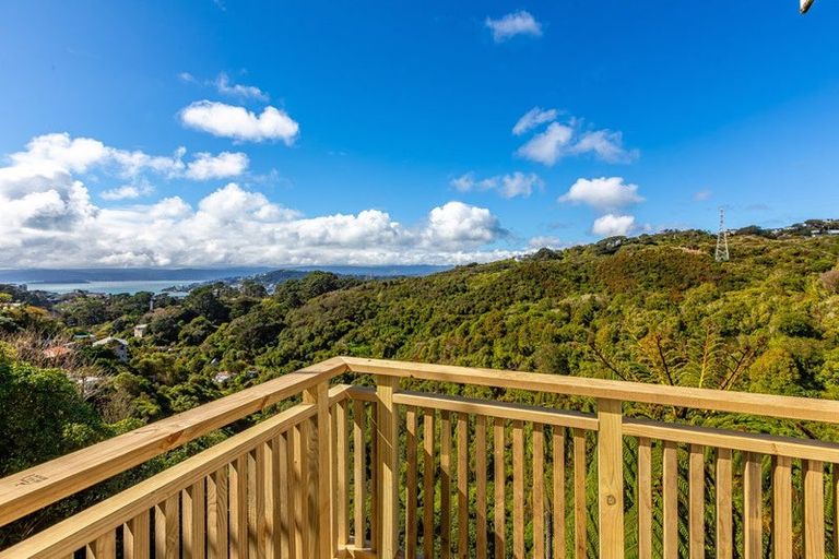 Photo of property in 61 Mount Pleasant Road, Aro Valley, Wellington, 6012