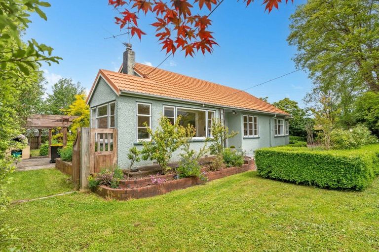 Photo of property in 117 Harley Street, Solway, Masterton, 5810