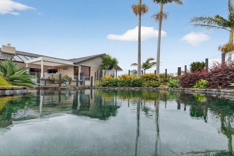 Photo of property in 55 Lydbrook Place, Otumoetai, Tauranga, 3110
