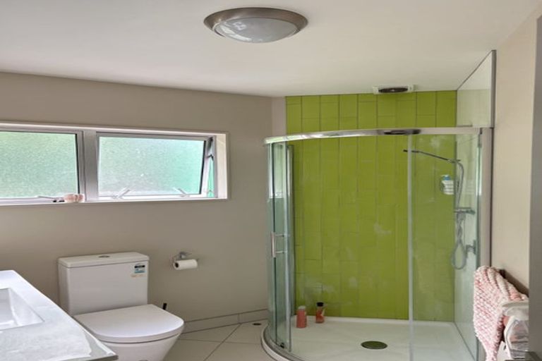 Photo of property in 1b Anderson Terrace, Mount Cook, Wellington, 6021