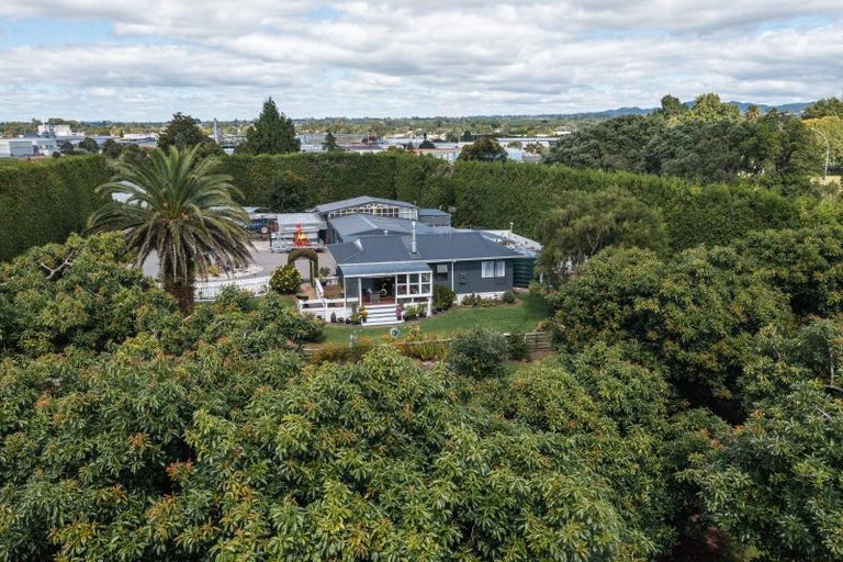 Photo of property in 13 Ronalds Lane, Te Puke, 3187