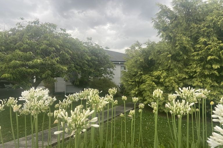 Photo of property in 209 King Street, Rangiora, 7400