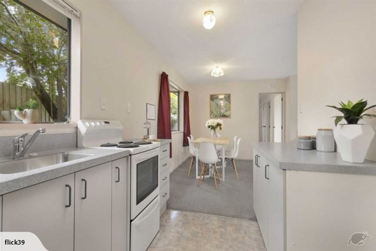 Photo of property in 113 Warren Crescent, Hillmorton, Christchurch, 8025