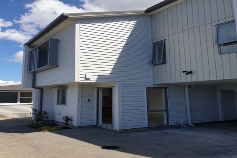 Photo of property in 48d Lyttelton Avenue, Forrest Hill, Auckland, 0620