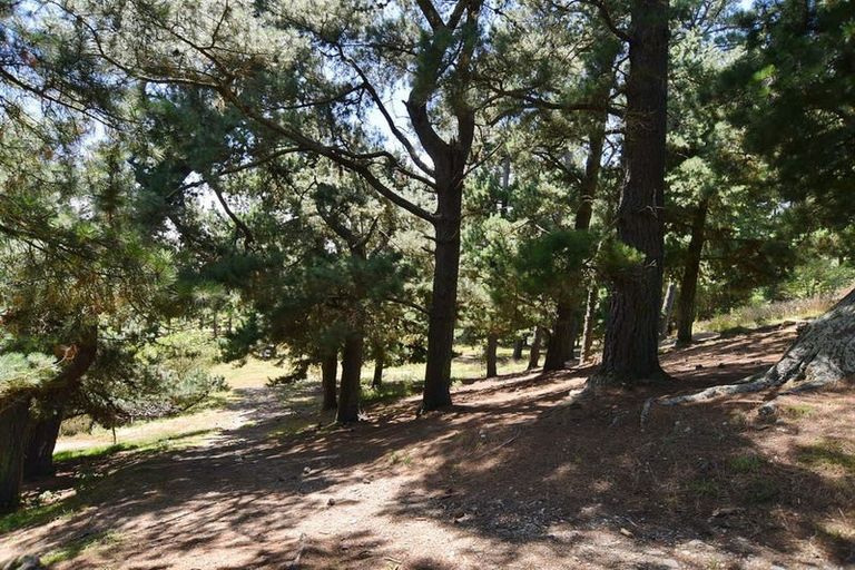 Photo of property in 1392 Oxford Road, Cust, Rangiora, 7471