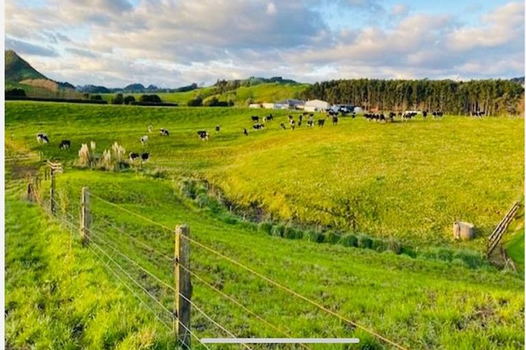 Photo of property in 562 Trig Road, Waihi, 3681