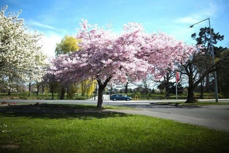 Photo of property in The Metro, 12/28 Salisbury Street, Christchurch Central, Christchurch, 8013