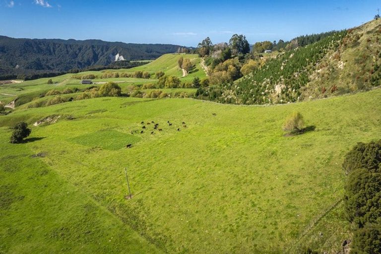 Photo of property in 888 Kakariki Farm Road, Kotemaori, 4188