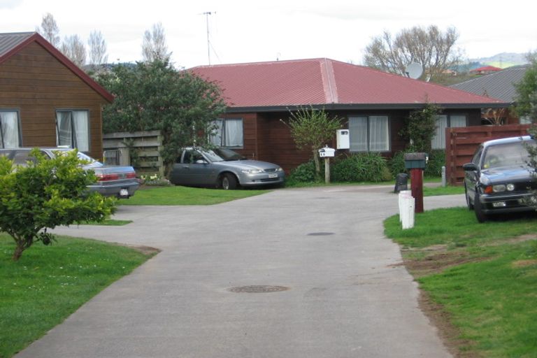 Photo of property in 8b College Place, Poike, Tauranga, 3112