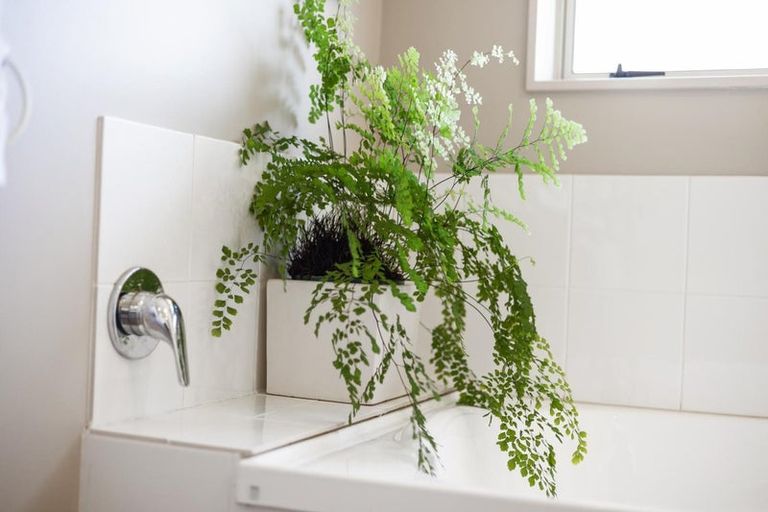 Photo of property in 7 Mirbeck Avenue, Cambridge, 3434