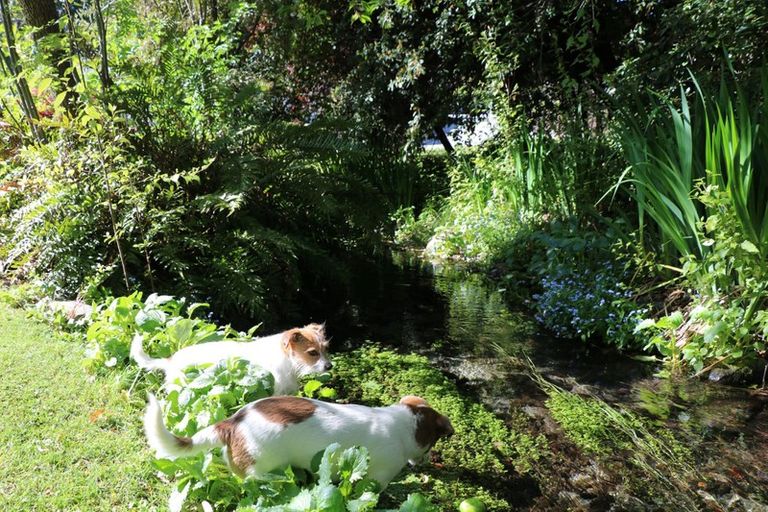 Photo of property in 79 Mcdougall Street, Wanaka, 9305