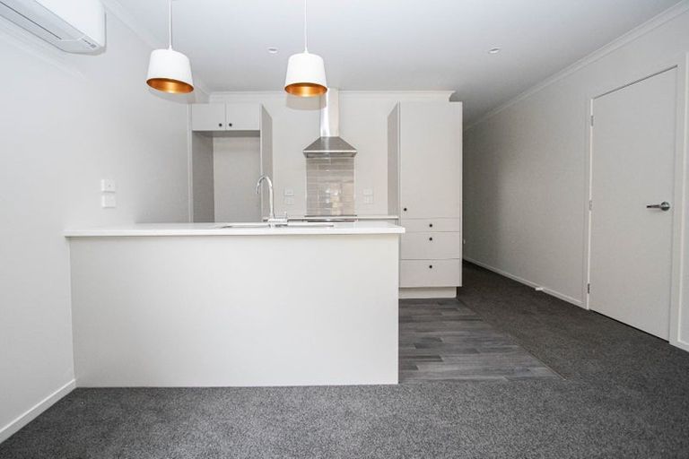 Photo of property in 16u1 Rothwell Street, Dinsdale, Hamilton, 3204