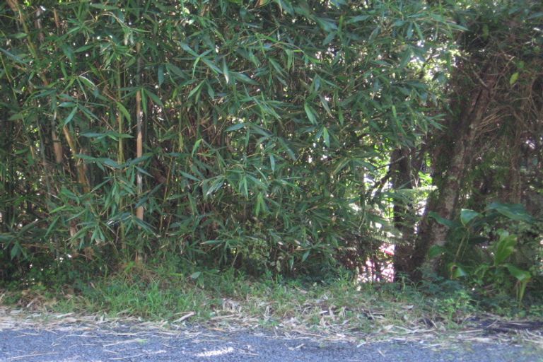 Photo of property in 275 Konini Road, Titirangi, Auckland, 0604