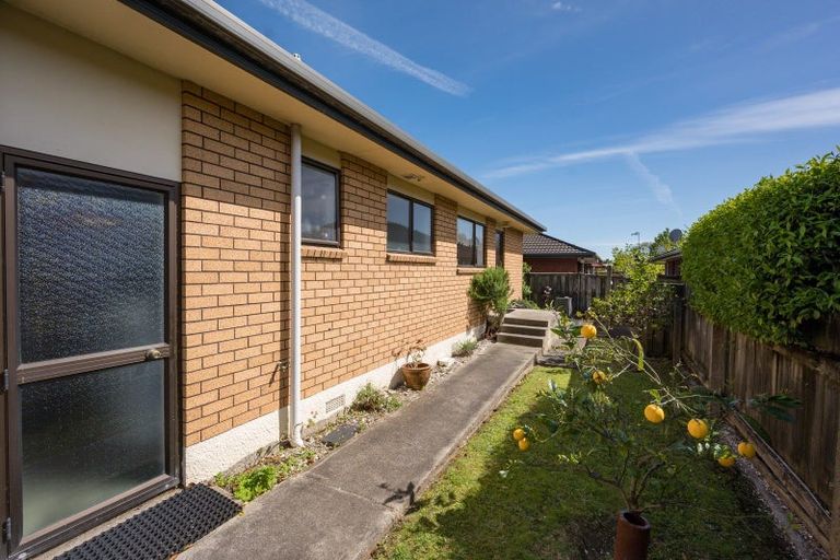 Photo of property in 65 Halifax Street East, The Wood, Nelson, 7010