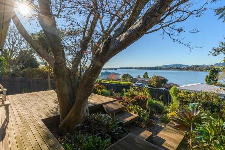 Photo of property in 53 Hampton Terrace, Parkvale, Tauranga, 3112