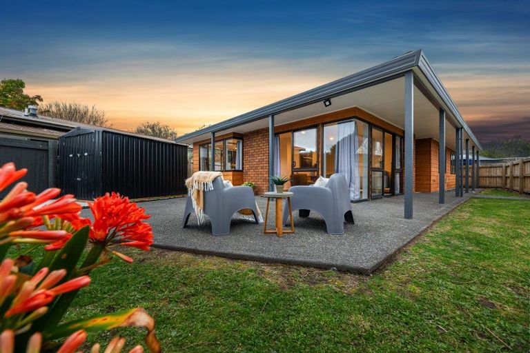 Photo of property in 24 Kaimai Place, Hairini, Tauranga, 3112