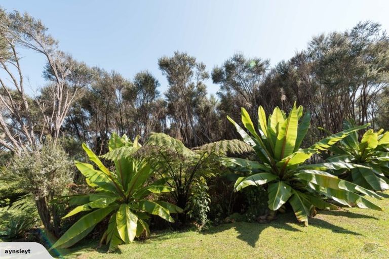 Photo of property in 4 Toi Track, Russell, 0272