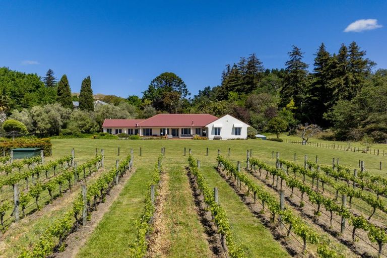 Photo of property in 306 Te Mata Road, Havelock North, 4294