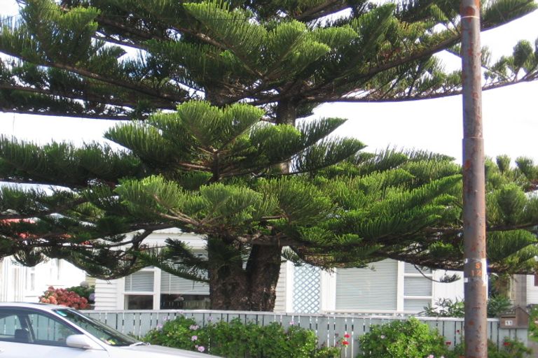 Photo of property in 11 Hobart Street, Miramar, Wellington, 6022