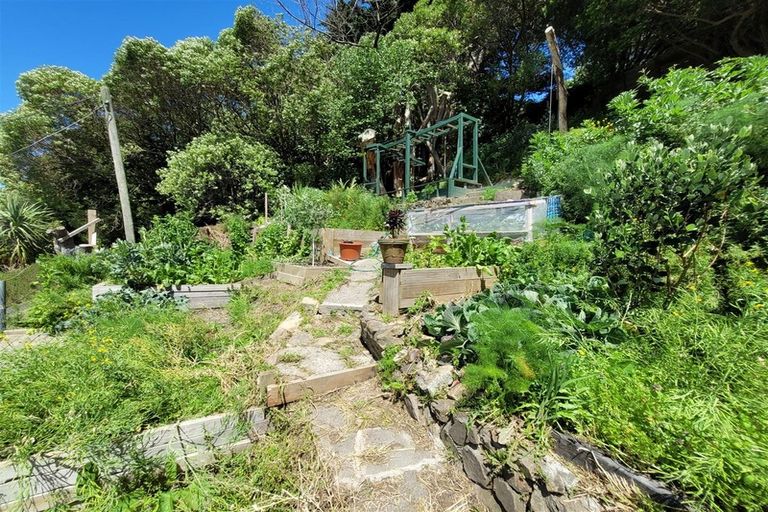 Photo of property in 46 Rakau Road, Hataitai, Wellington, 6021