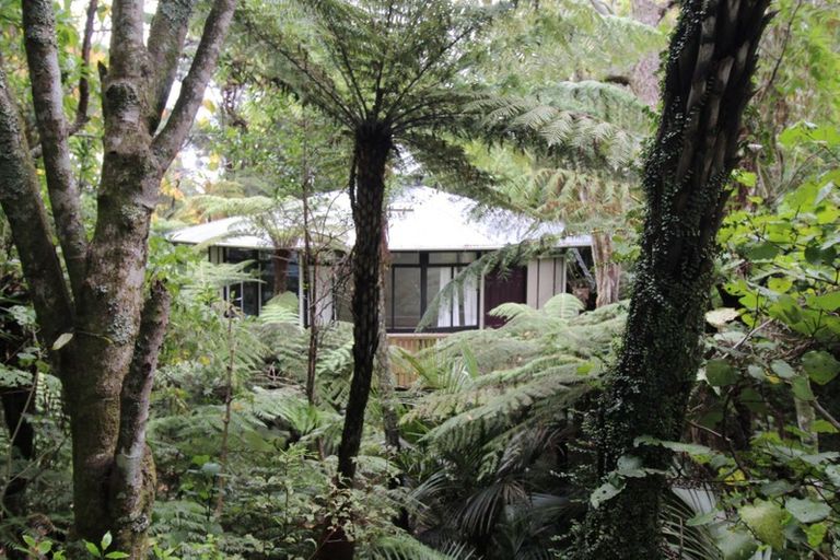 Photo of property in 539 South Titirangi Road, Titirangi, Auckland, 0604
