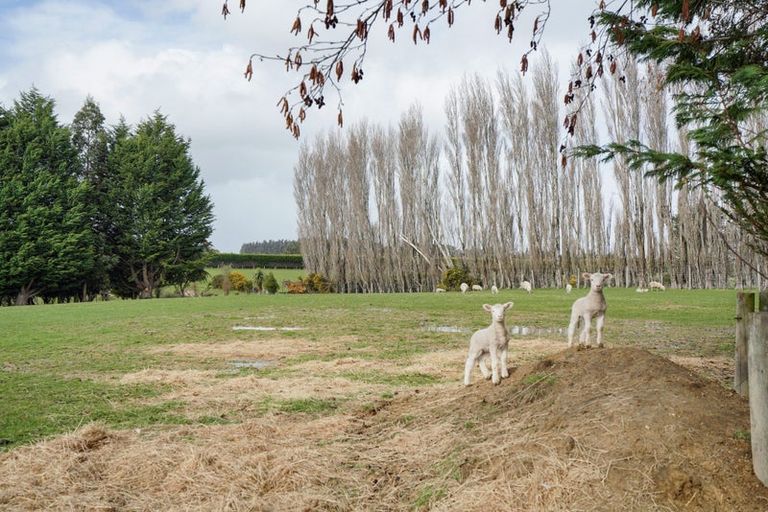 Photo of property in 70 Pomona Road East, Makarewa, Invercargill, 9876