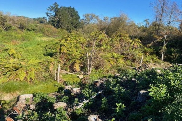 Photo of property in 82 Jacksons Road, Koputaroa, Shannon, 5575