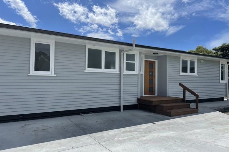 Photo of property in 702a Dennett Street, Mahora, Hastings, 4120