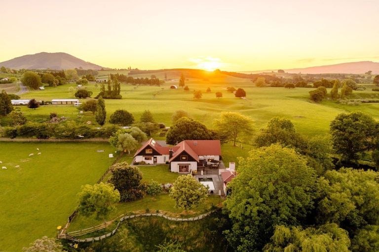 Photo of property in 248 Pokuru Road, Pokuru, Te Awamutu, 3875