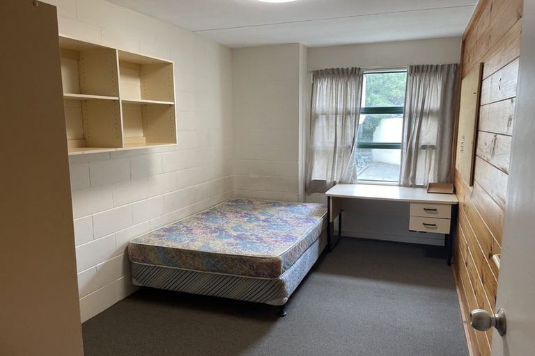 Photo of property in Te Awhina Apartments, 27/22u Sussex Street, Mount Cook, Wellington, 6021