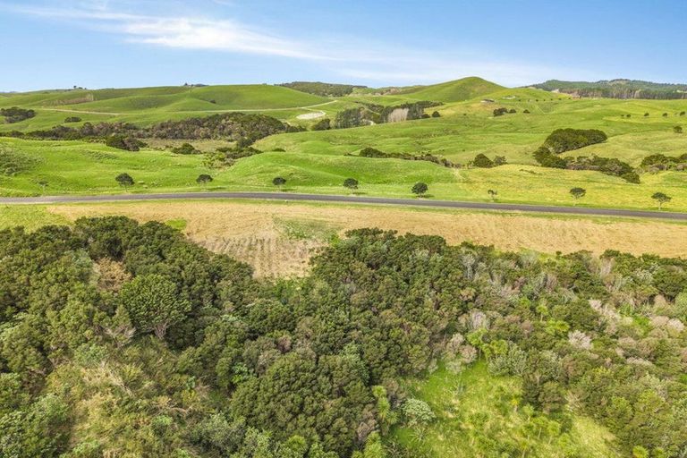 Photo of property in 51 Hinamoki Drive, Kaiwaka, 0573