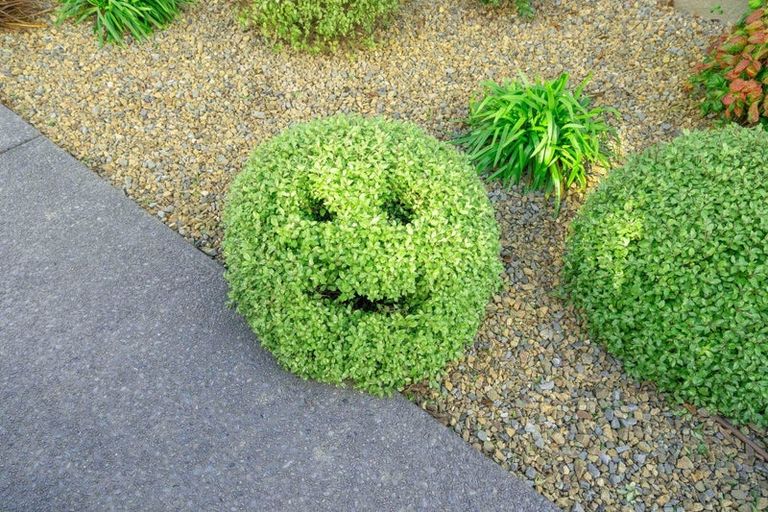 Photo of property in 18 Glendene Court, Rolleston, 7614