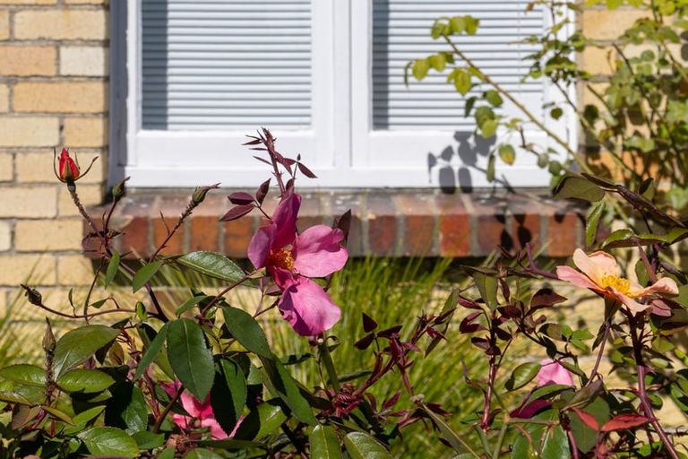 Photo of property in 20 Rayner Road, Huntly, 3700