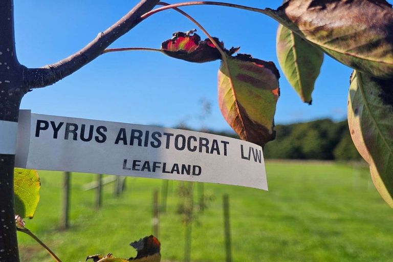 Photo of property in 35 Woven Stone Way, Ohau, 5570