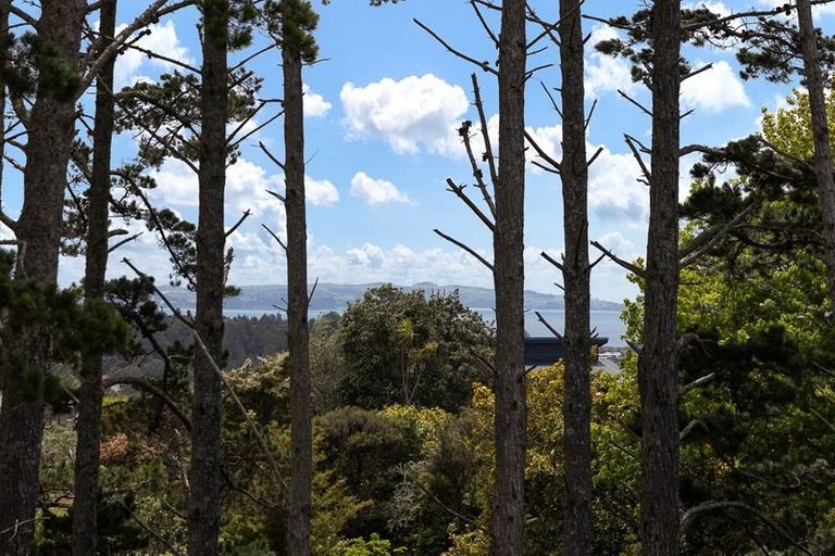 Photo of property in 247 Glamorgan Drive, Torbay, Auckland, 0630