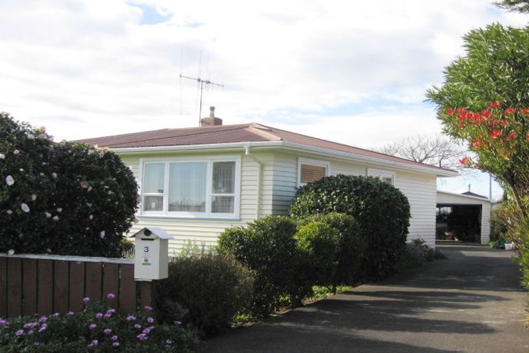 Photo of property in 3 Grey Street, Levin, 5510
