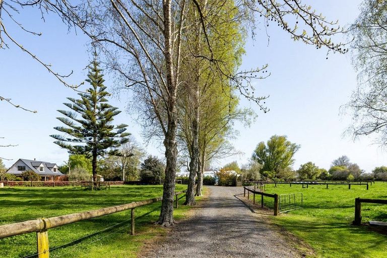 Photo of property in 166 Racecourse Road, Cambridge, 3493